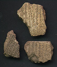 Photo of pottery shards.