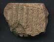 Photo of Woodland period pottery shard.